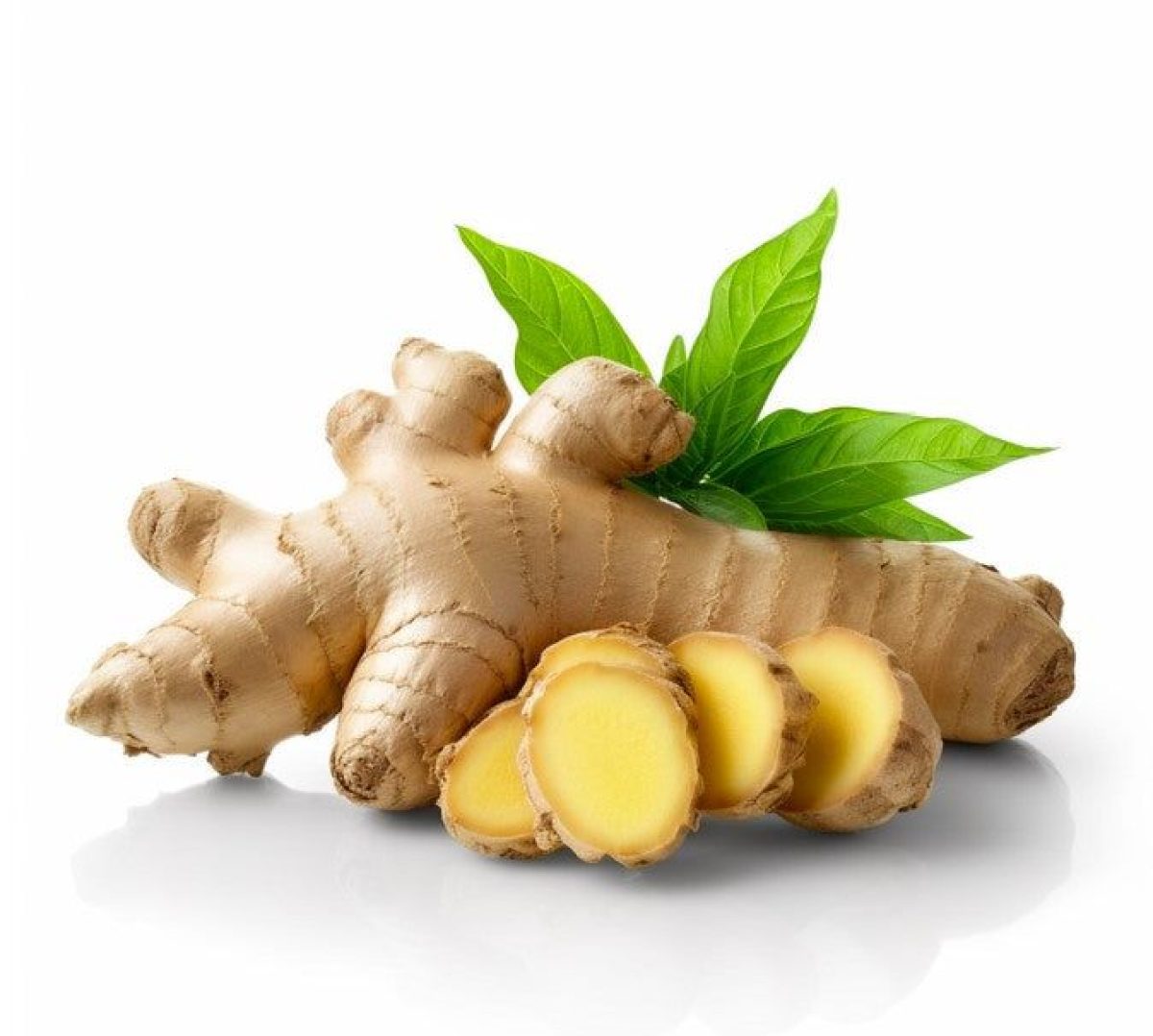 GINGER